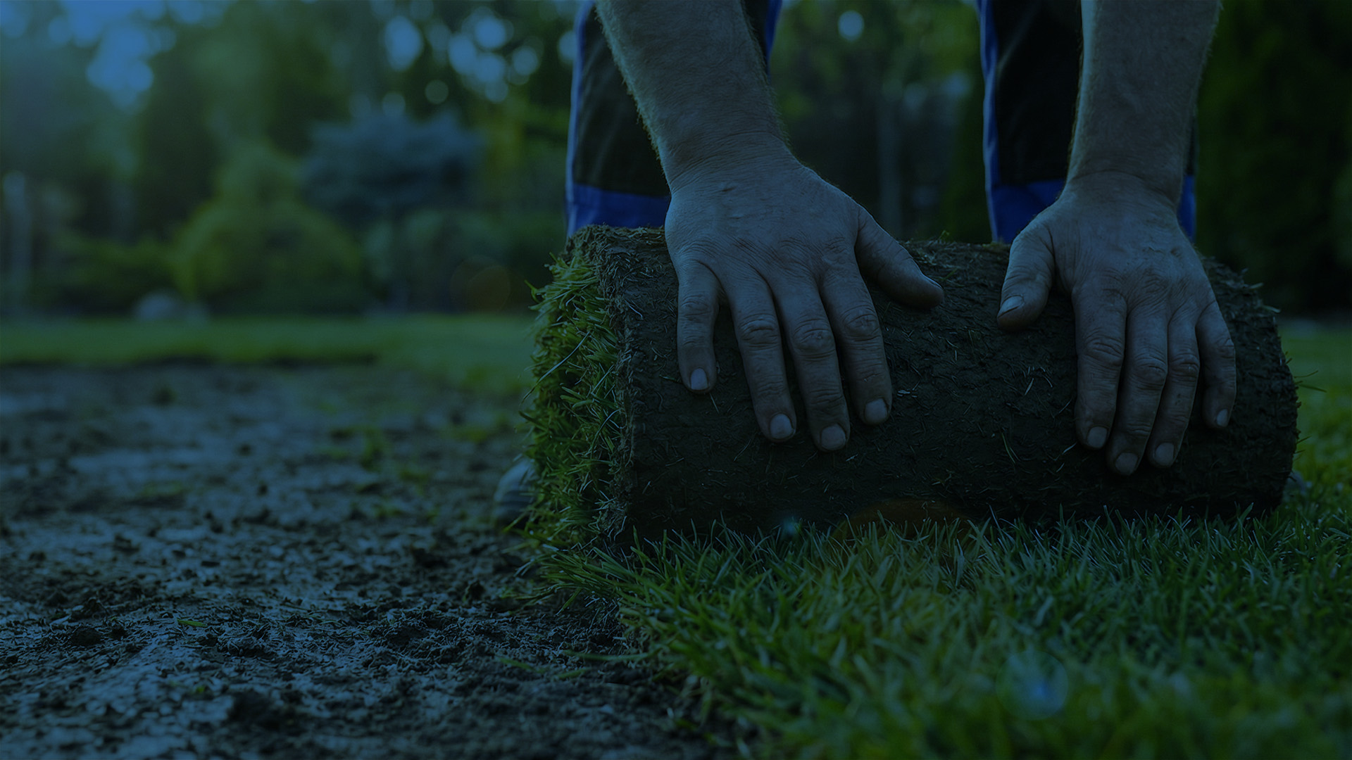 Gartenpflege Wolfsburg – Rasenmähen, Heckenschnitt und Rollrasen verlegen